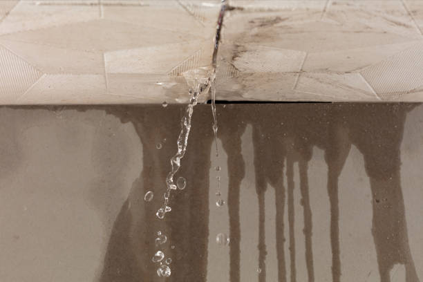 Professional Sewage Cleanup technician working in Whitakers, NC